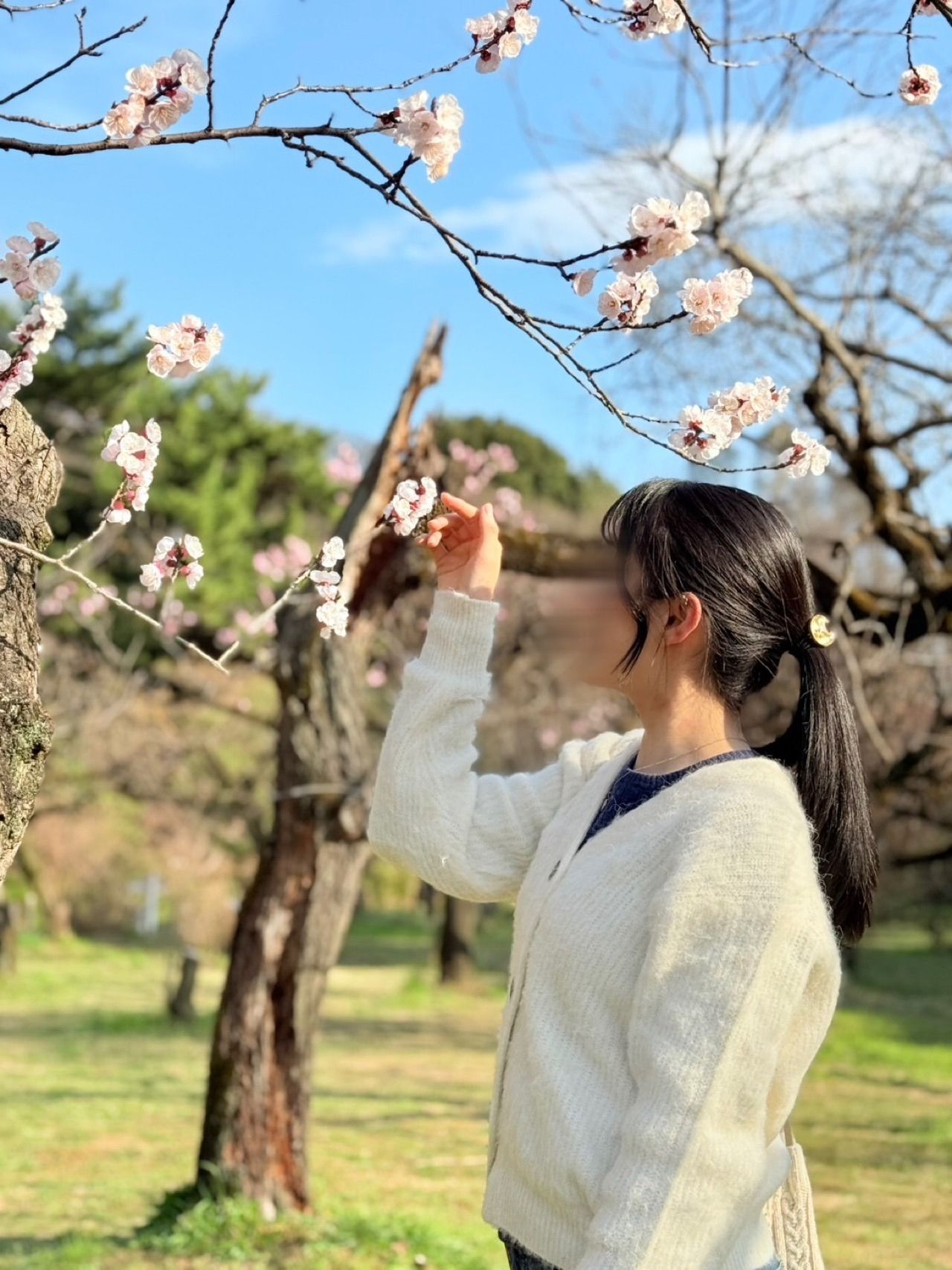 吉田 桃
